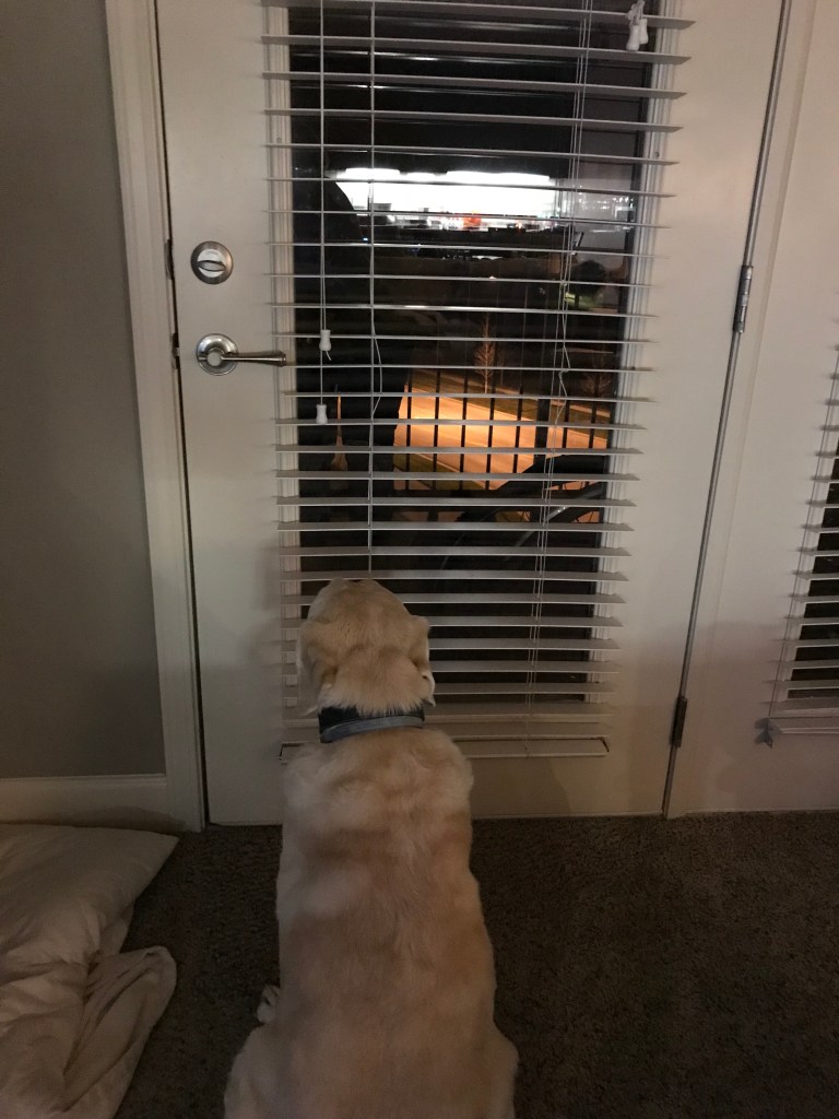 6Mf53UJ+R6e5HGtgF54N2A