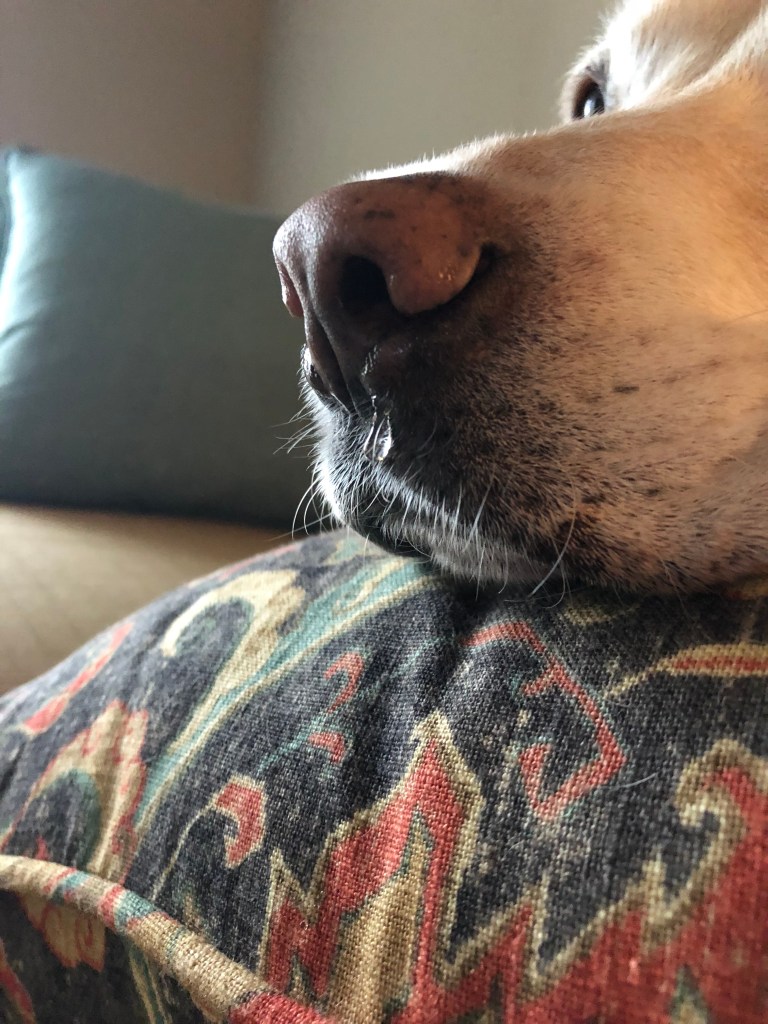 NvxTPgsXQf2enERoIbc%BQ