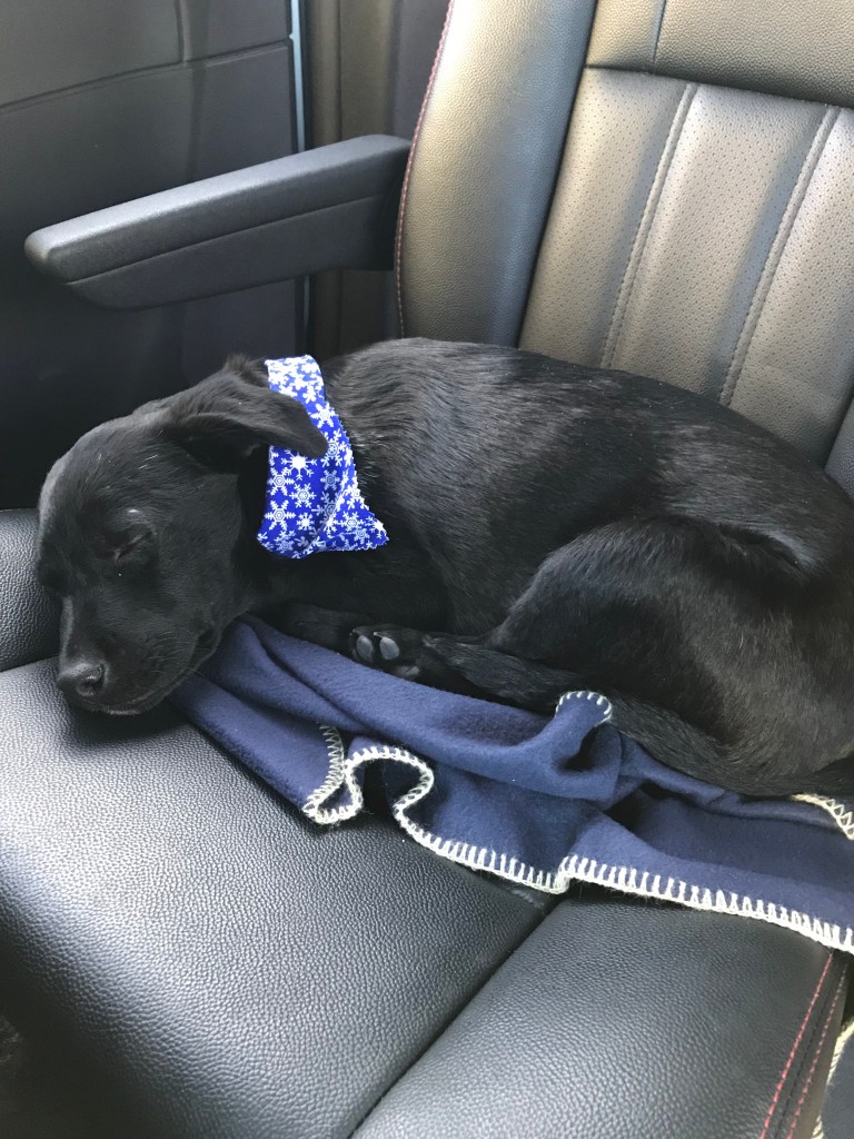 bypPwyXDTLKLjuiBTOlMOg