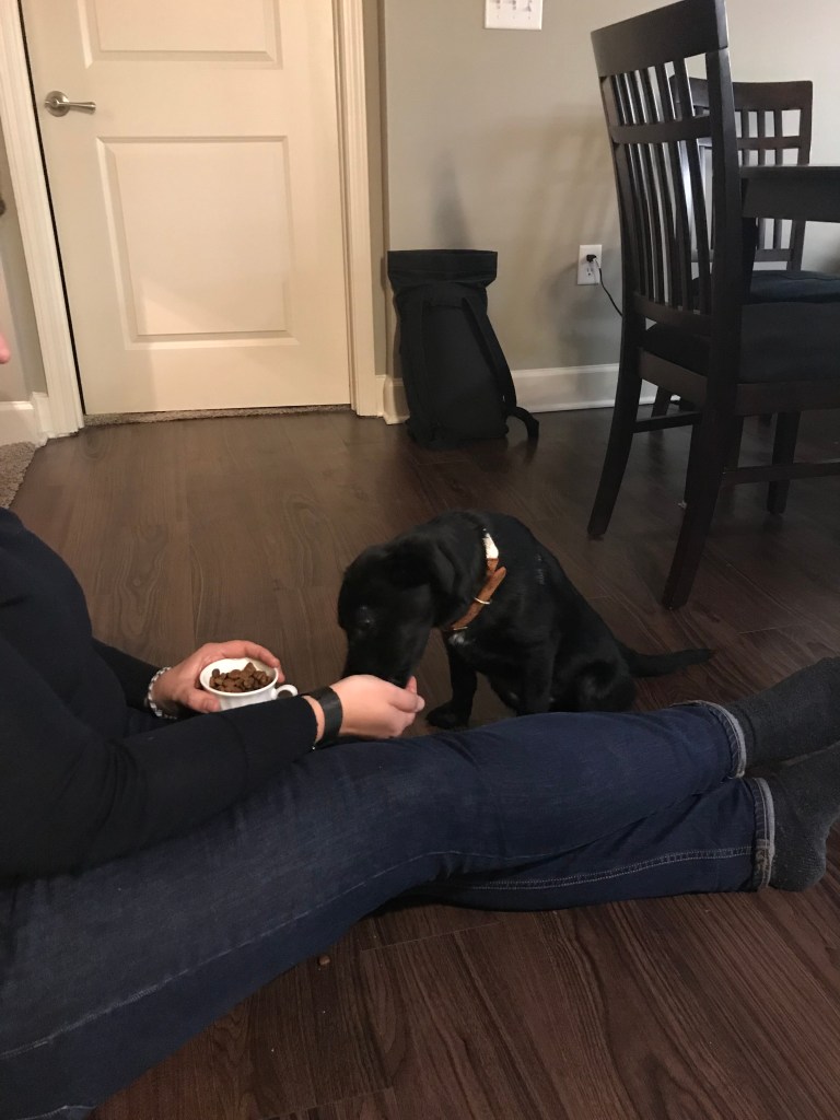 vN64skSjTUCV5aGYJtjgYQ